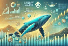 What Is a Crypto Whale and How Do They Affect Crypto Markets?